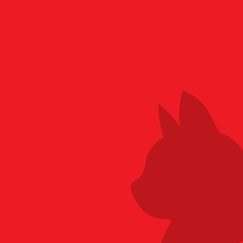 Which roof tiles are the best?              